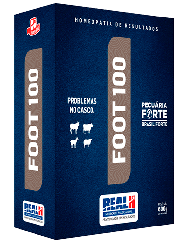 Foot 100 - caixa com 24 und. de 600g